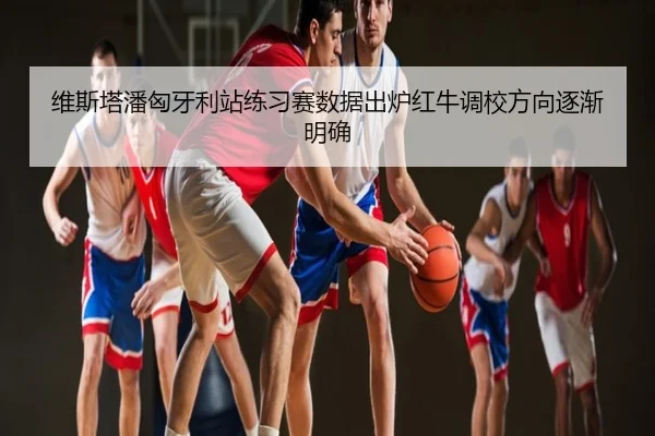 维斯塔潘匈牙利站练习赛数据出炉红牛调校方向逐渐明确